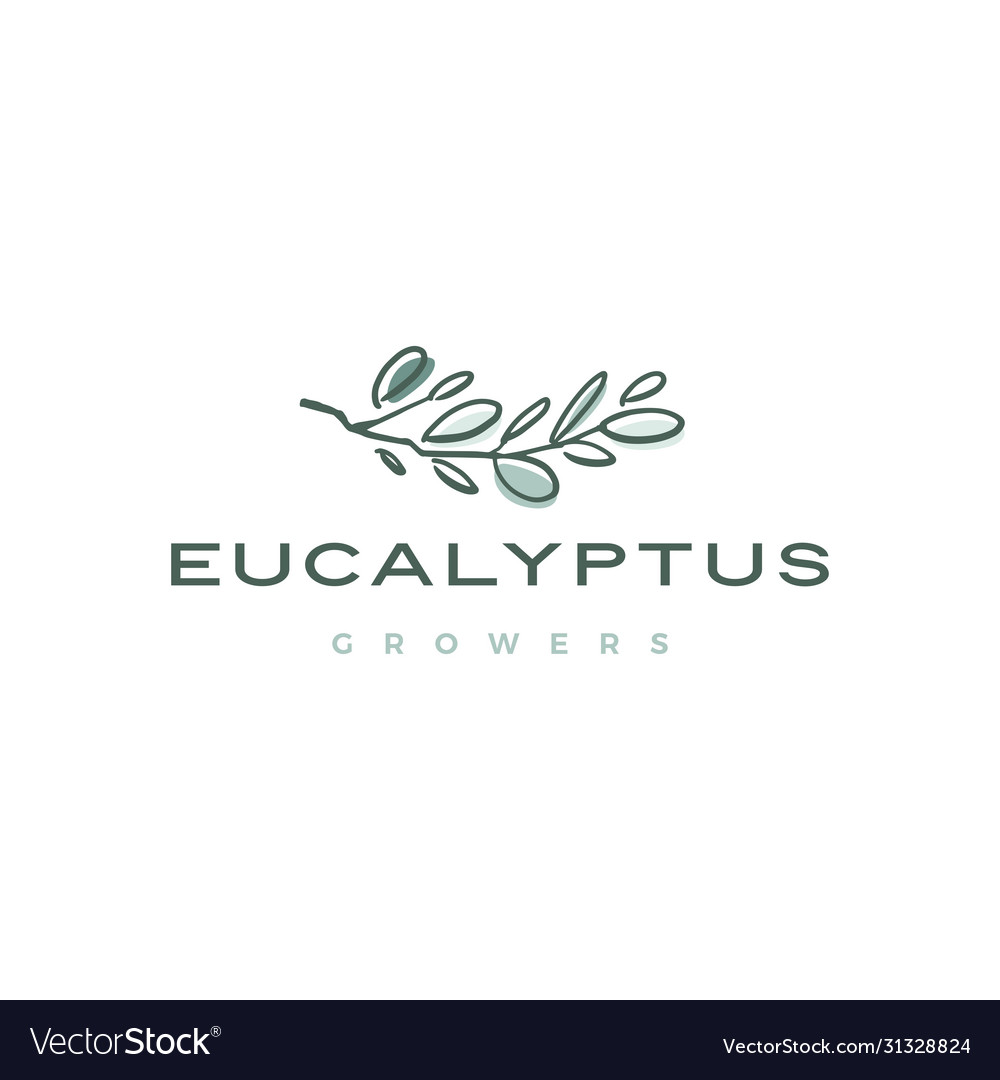 Eucalyptus logo icon Royalty Free Vector Image