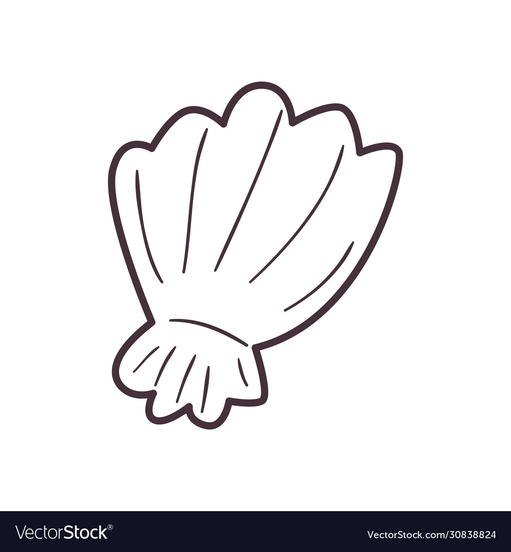 Isolated sea shell line style icon design