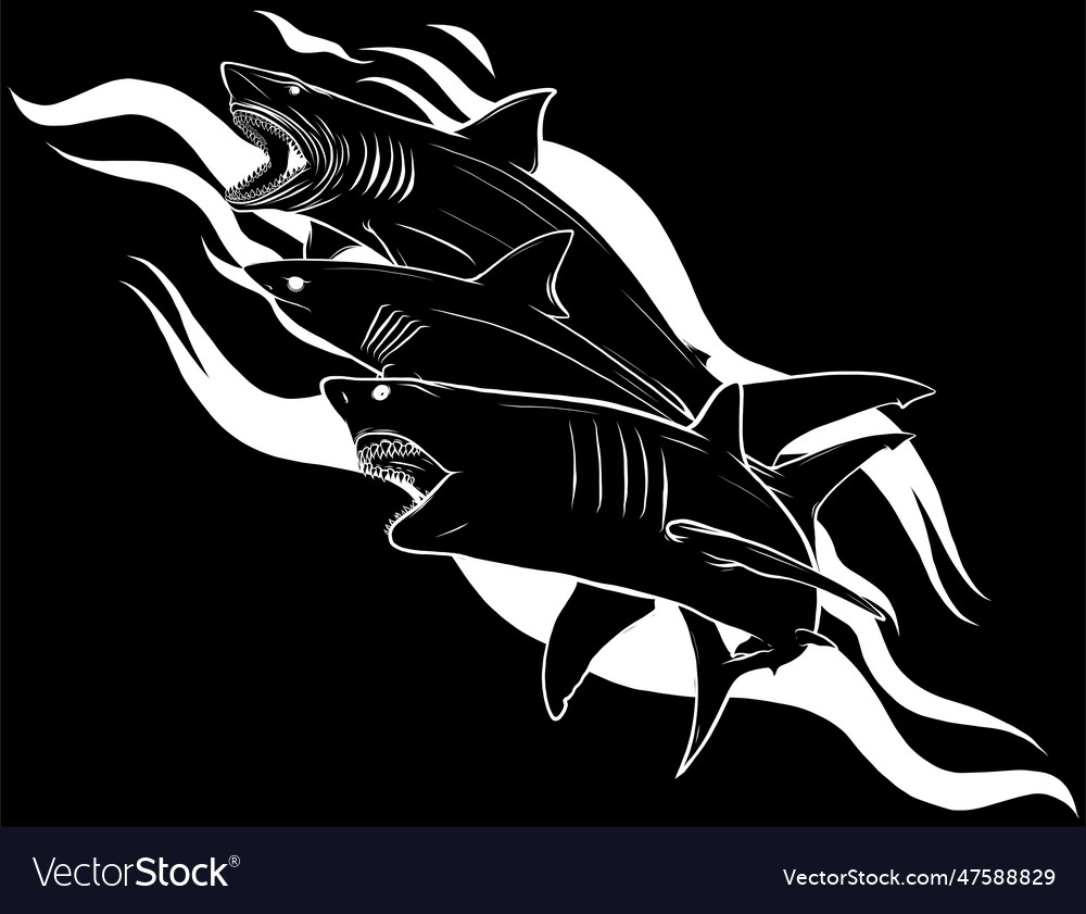 White silhouette of sharks on black background Vector Image