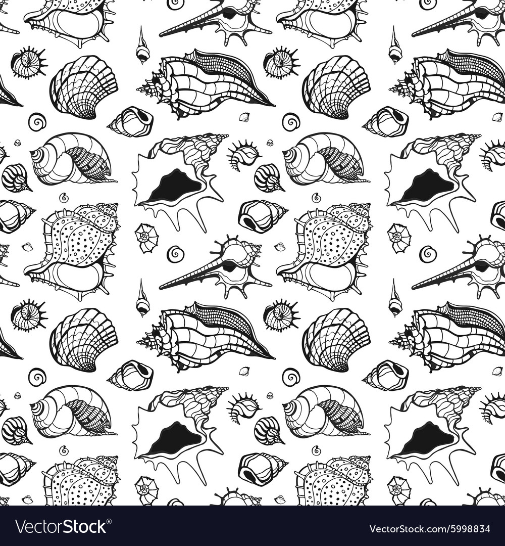 Elegant Seashell Pattern
