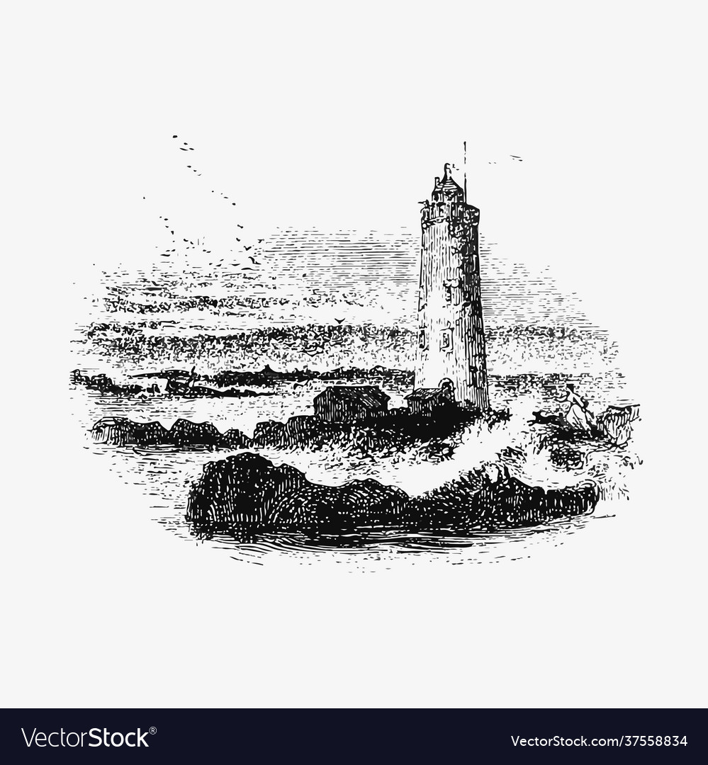 Farne islands lighthouse vector image Farne islands lighthouse