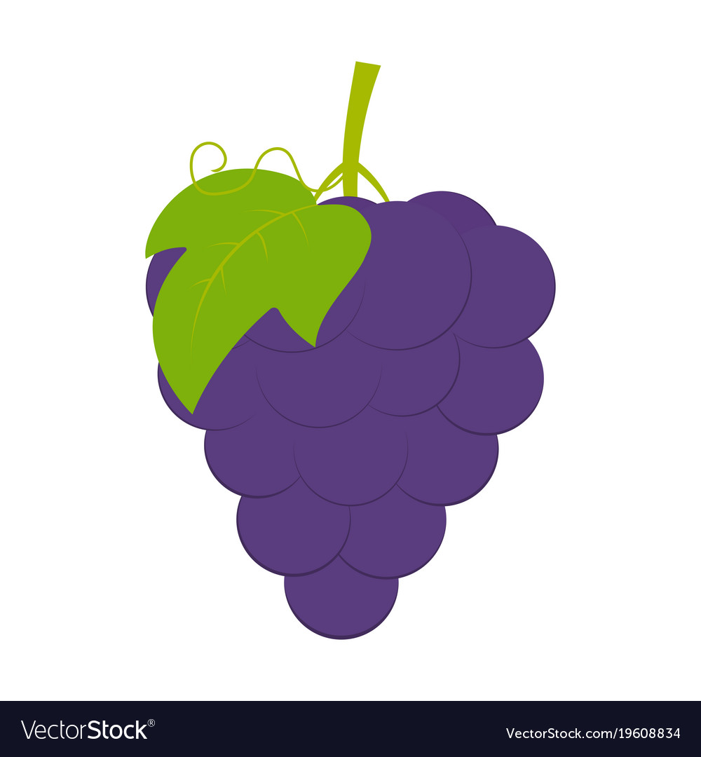 Grapes on white background