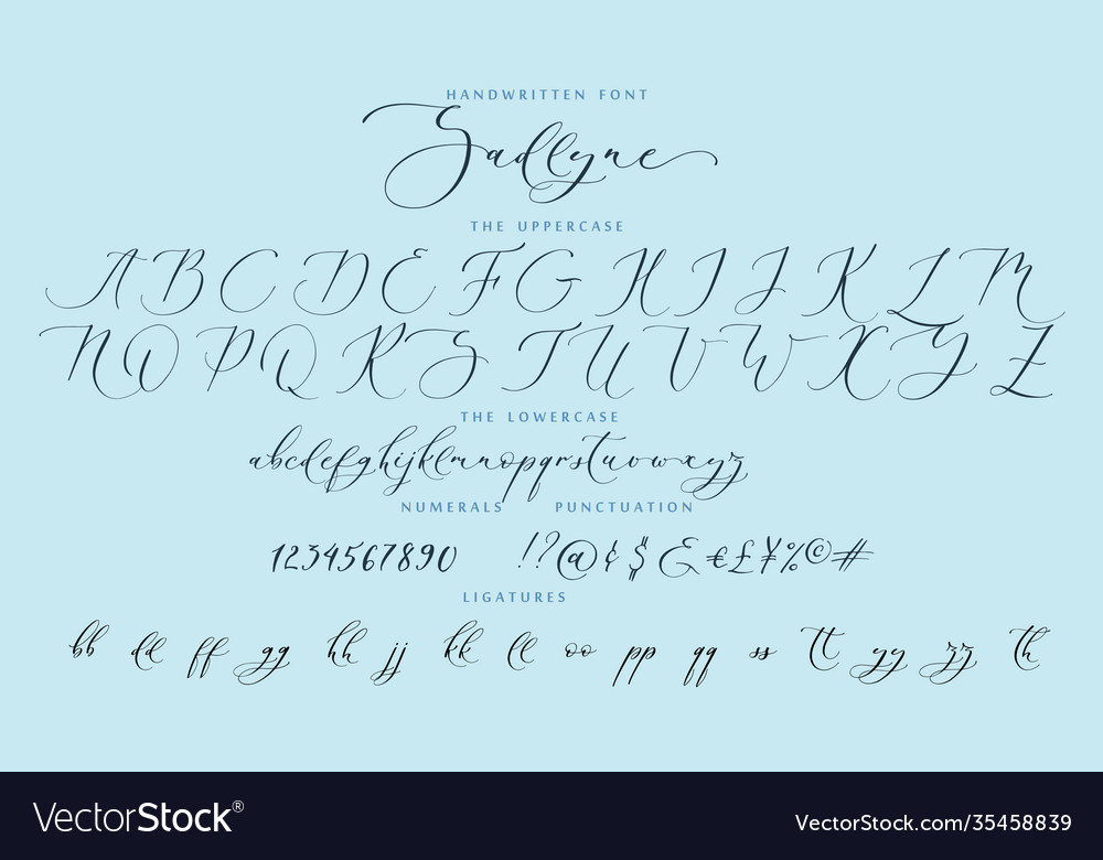Handwritten script cursive calligraphy playful vector image Handwritten script cursive calligraphy playful