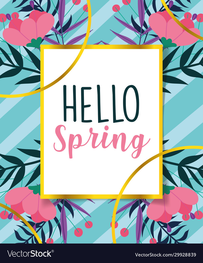 Hello spring greeting card flowers ribbon stripes Vector Image