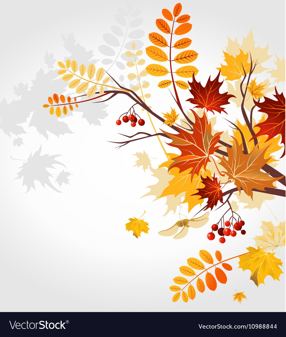 Autumn background Royalty Free Vector Image - VectorStock