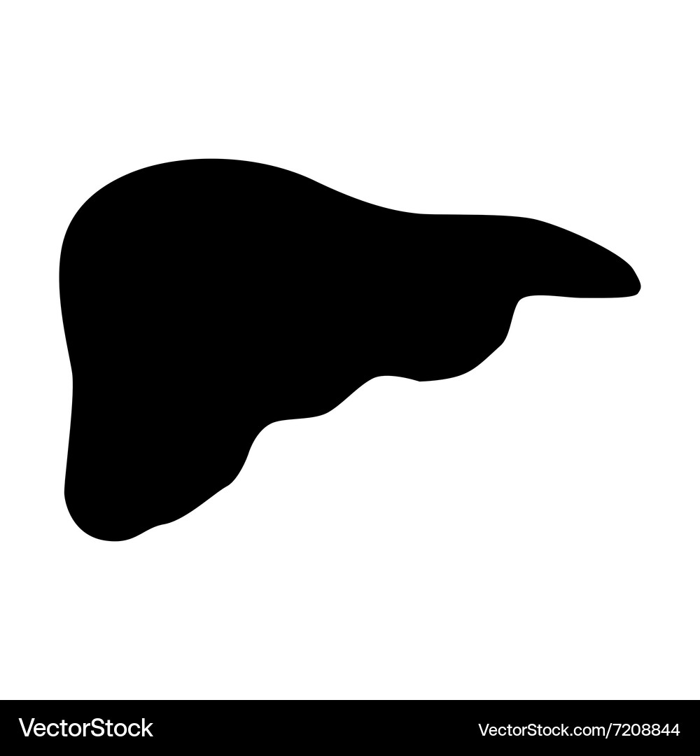 Flat liver icon Royalty Free Vector Image - VectorStock
