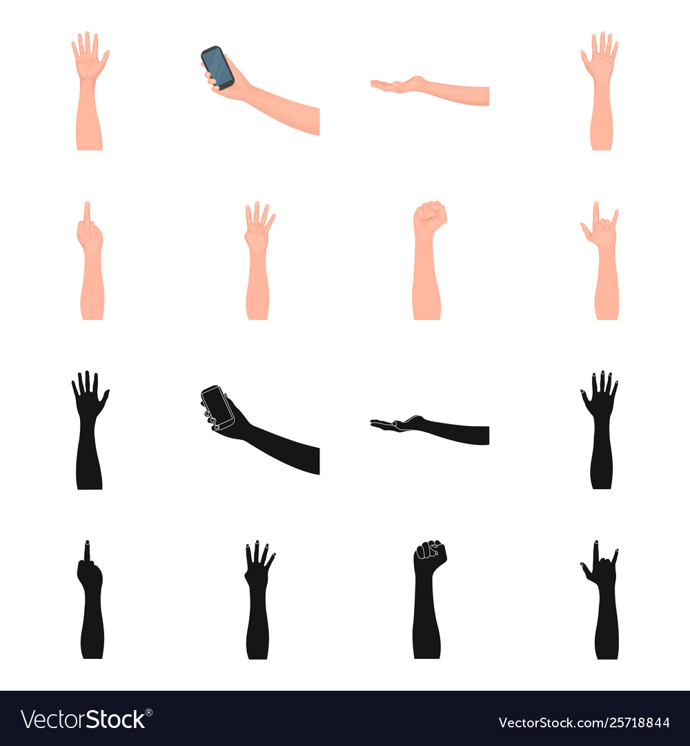 Isolated object and animated symbol collection