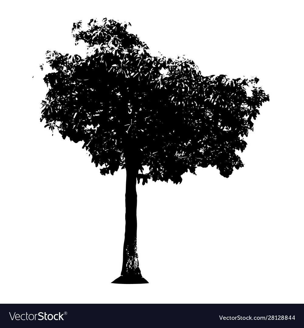 Tree outline 15 vector image Tree outline 15