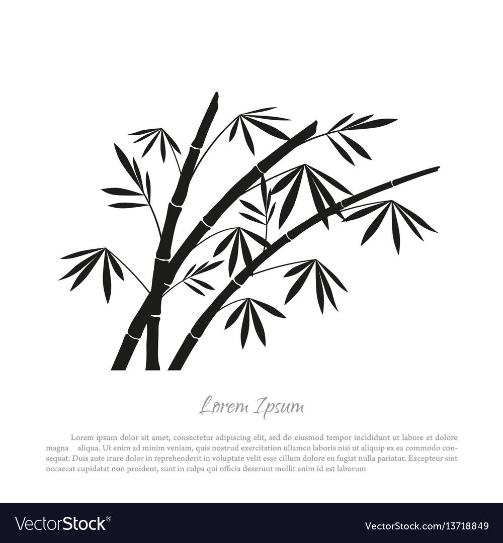 Black bamboo silhouette on a white background Vector Image