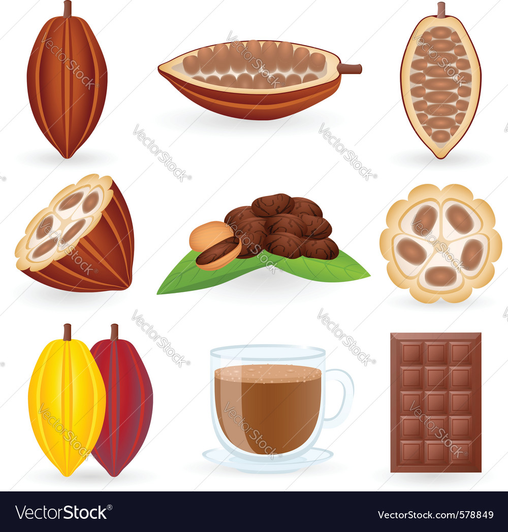 Cocoa Bean Icon Set