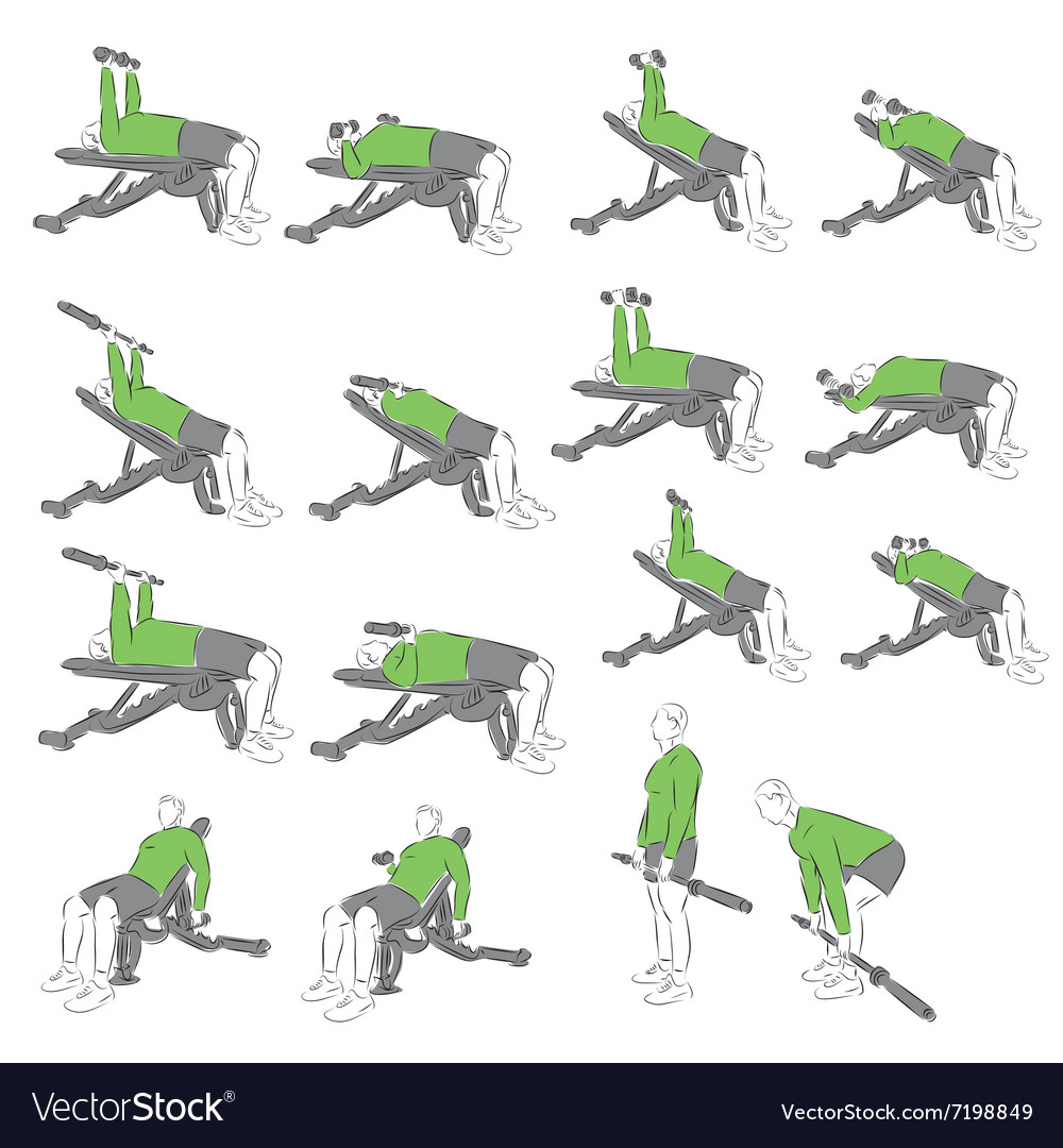 Set of systematic bodybuilding exercises