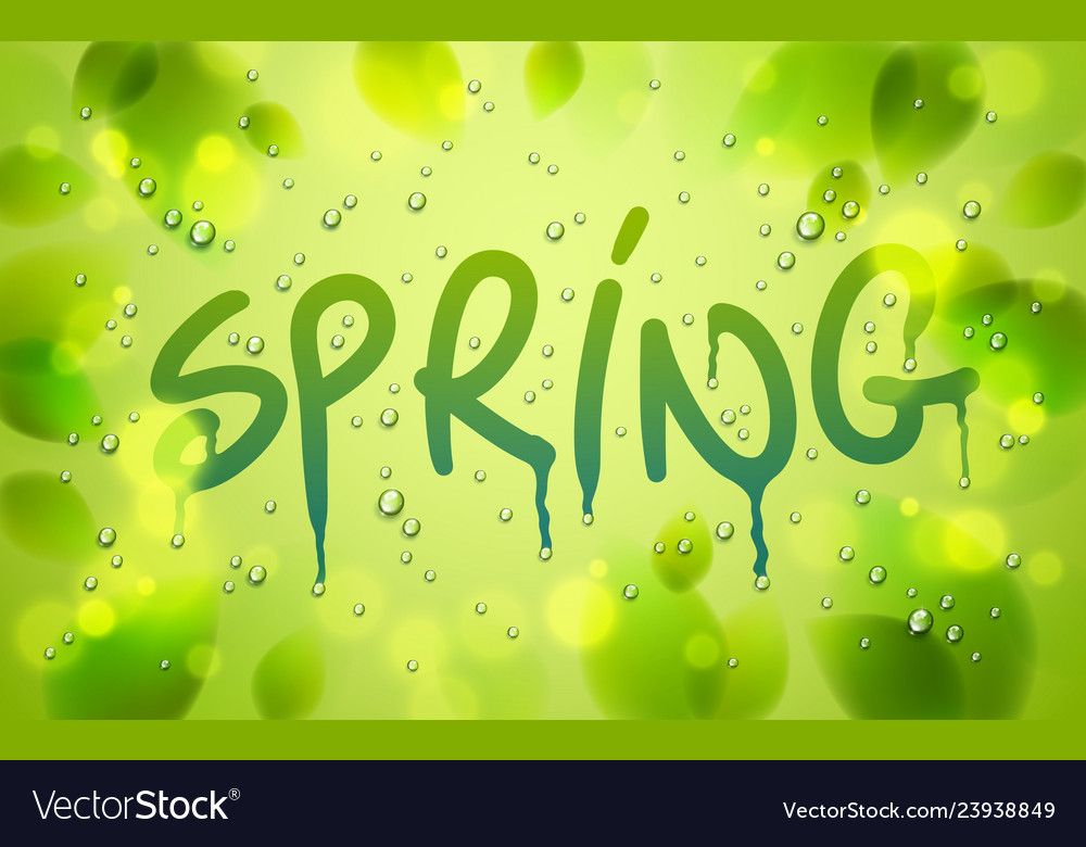 Spring word drawn on a window fresh green leaves Vector Image