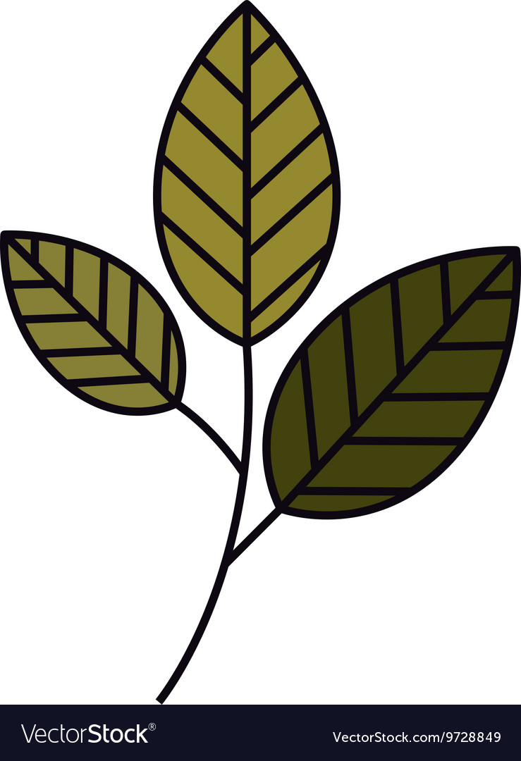 Tree branch with leaves isolated icon design