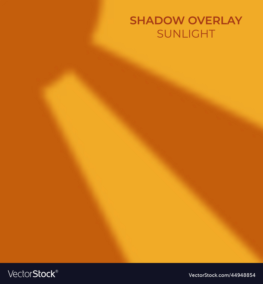 Abstract shadow overlay background image vector image Abstract shadow overlay background image