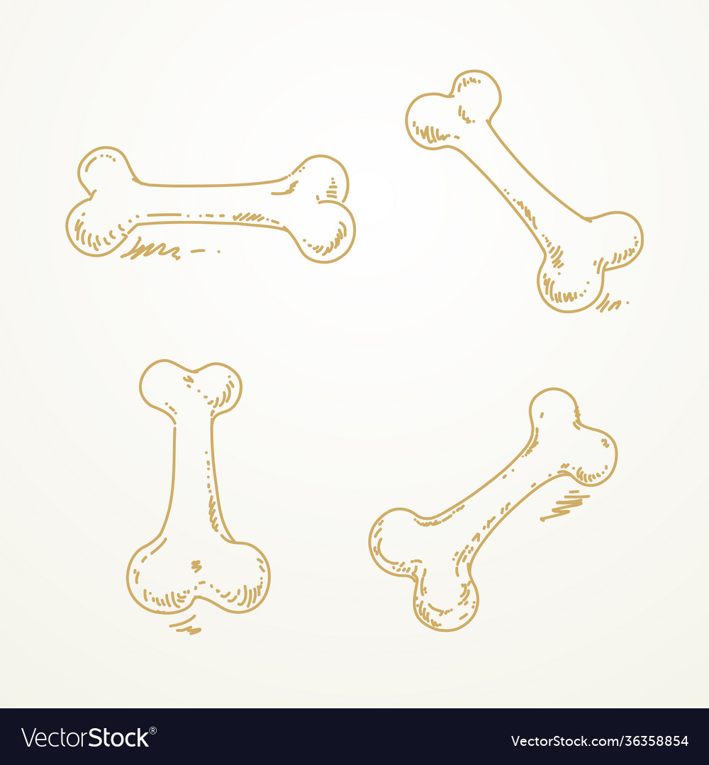 Dog bone sketch hand drawn Royalty Free Vector Image