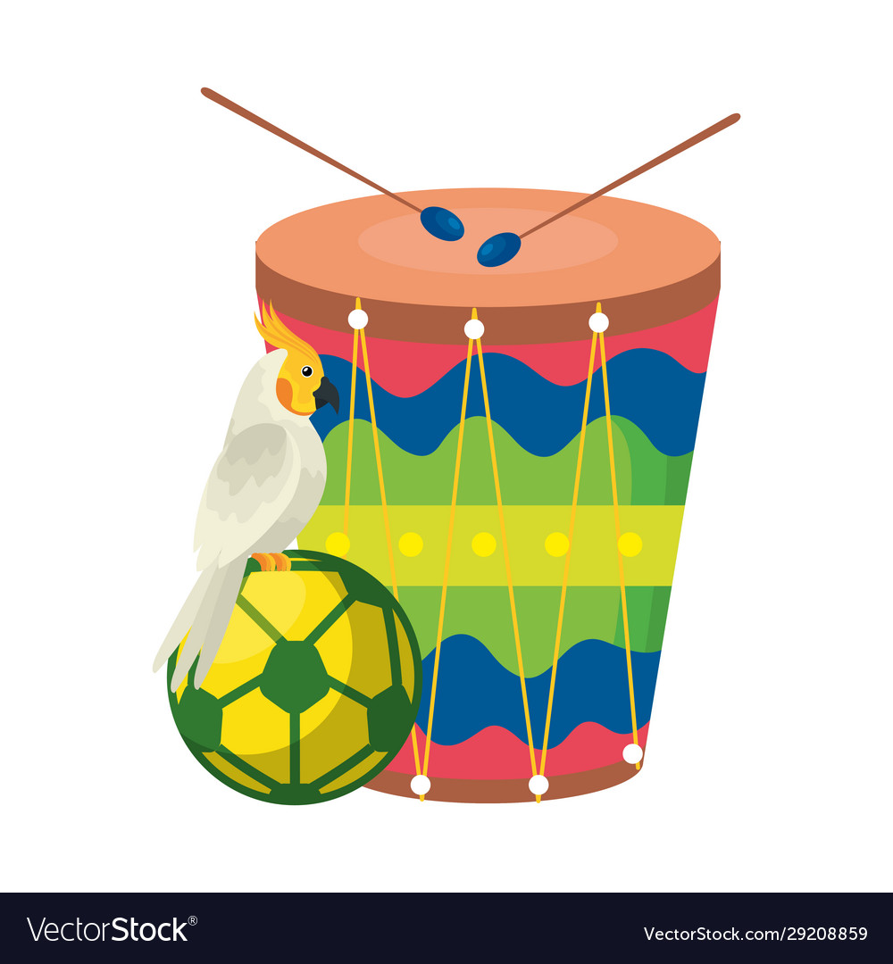 Drum with parrot and ball soccer isolated icon vector image Drum with parrot and ball soccer isolated icon