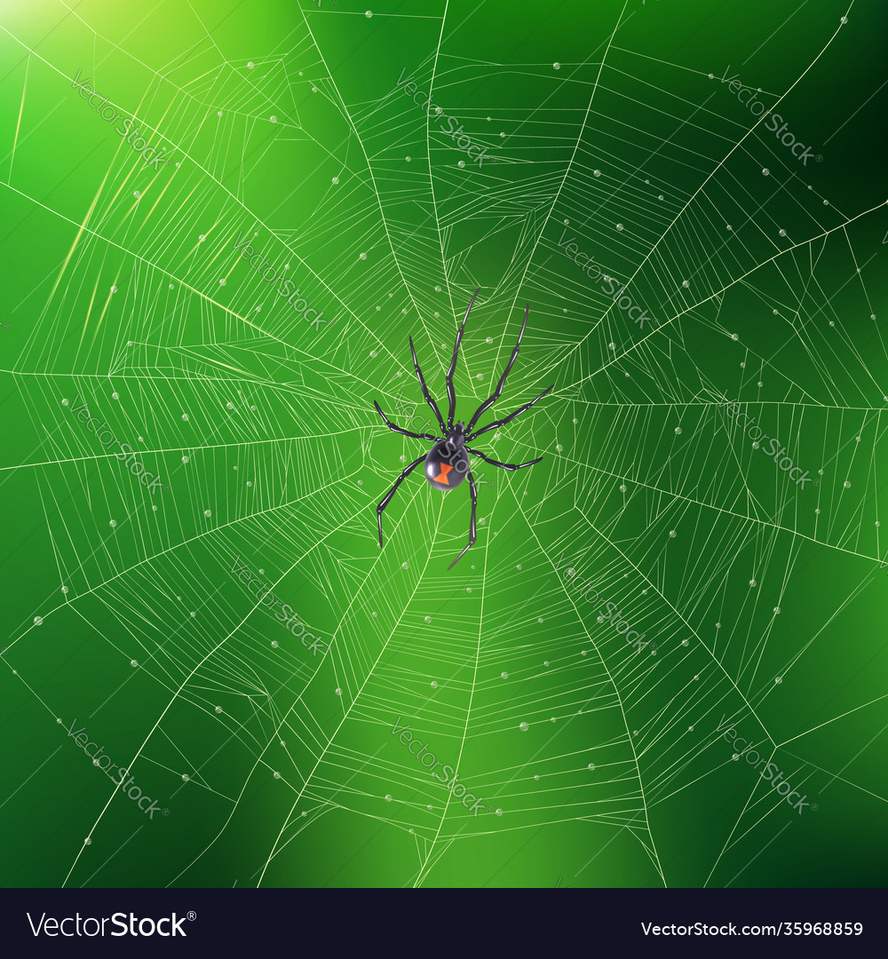 Spider weaving its web realistic background