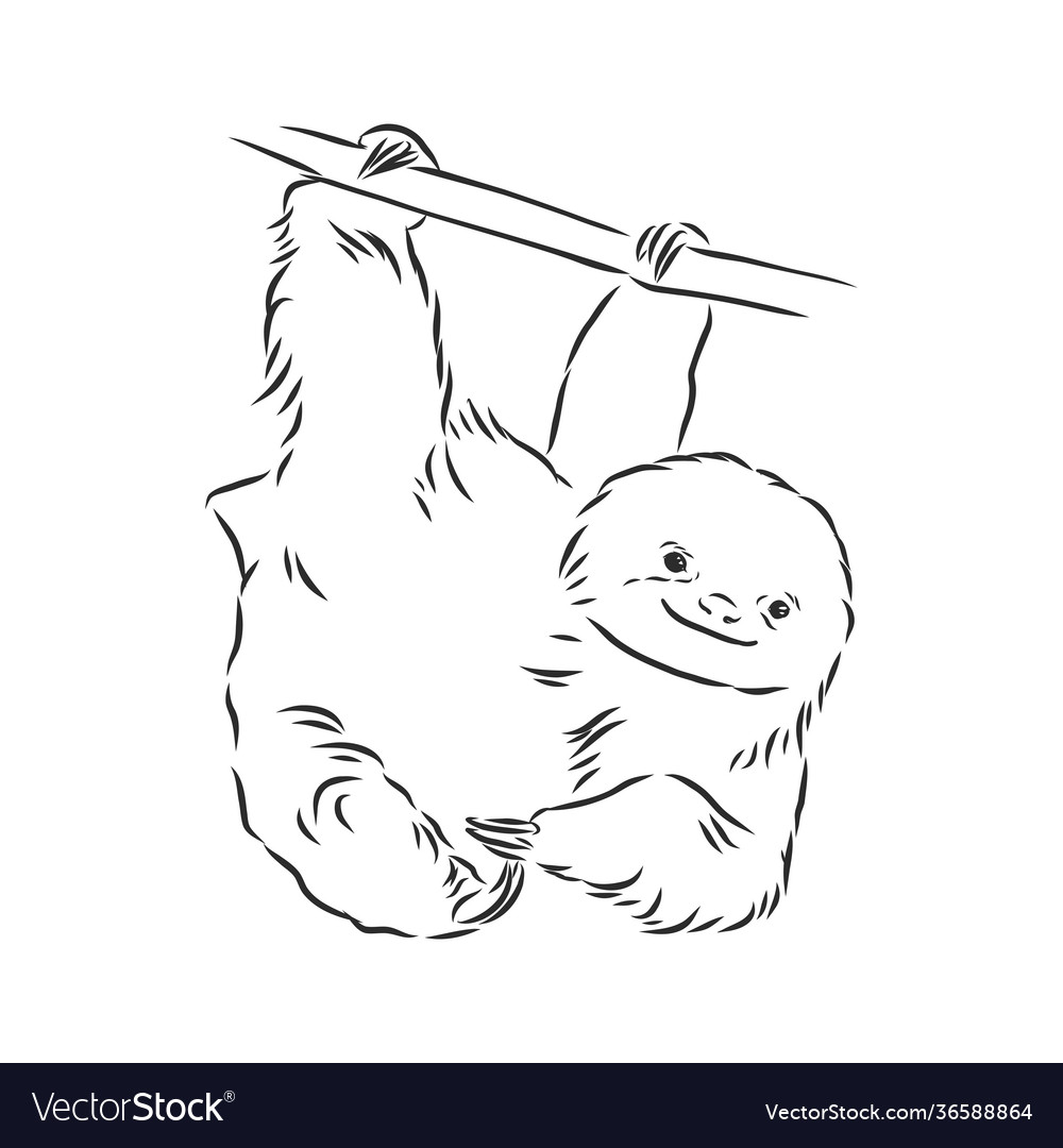 Sloth outline sketch Royalty Free Vector Image