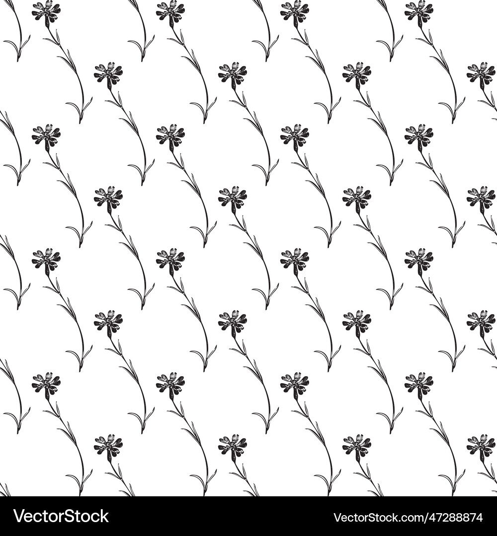 Botanical hand drawn floral seamless pattern Vector Image