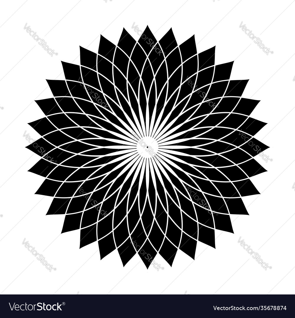 Circle pattern vector image Circle pattern