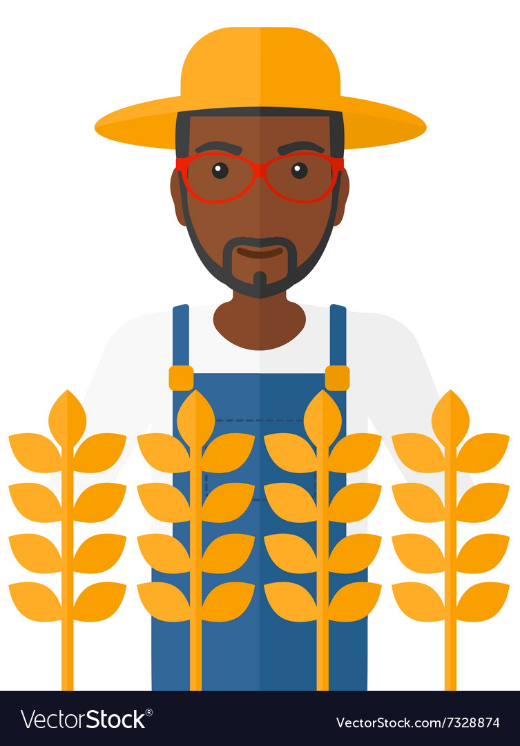 Man in wheat field