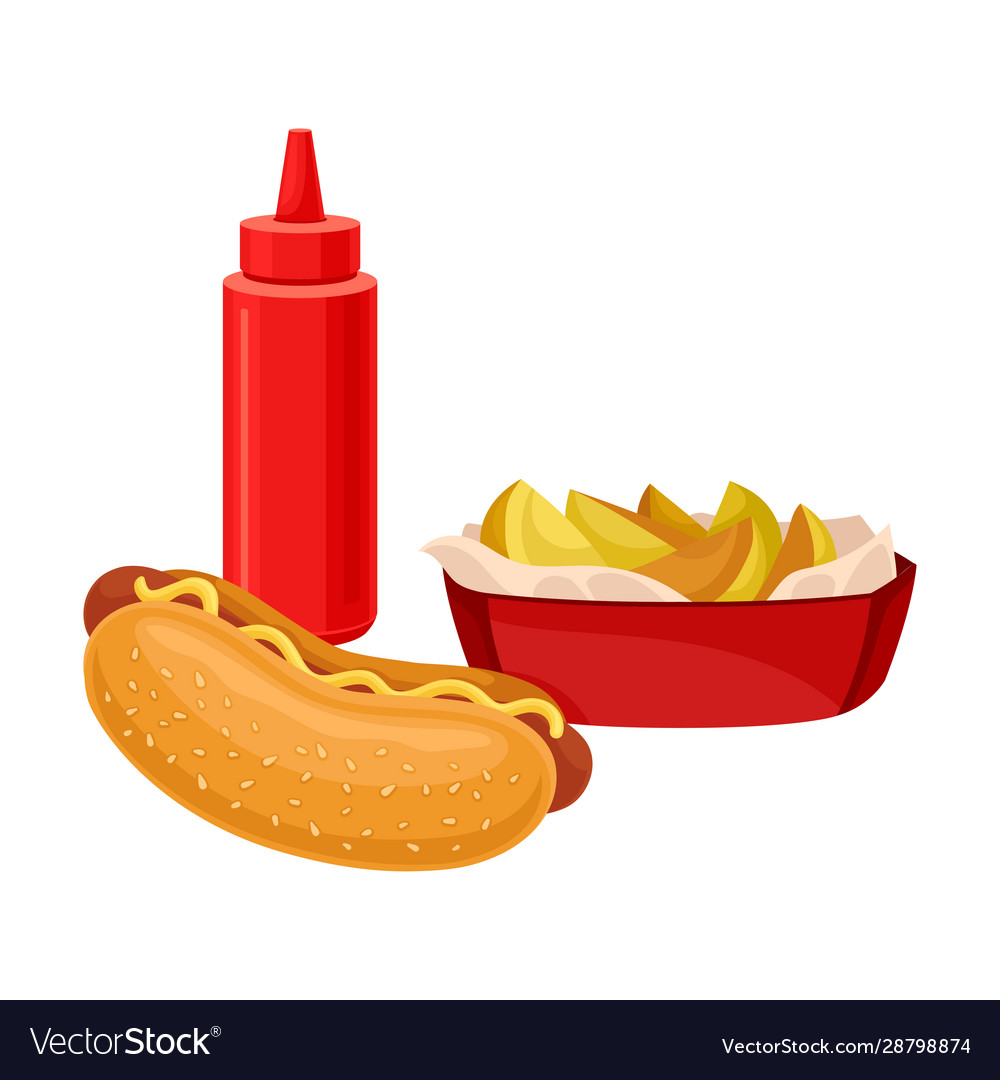 Snack Items For Lunch With Hot Dog And French Vector Image