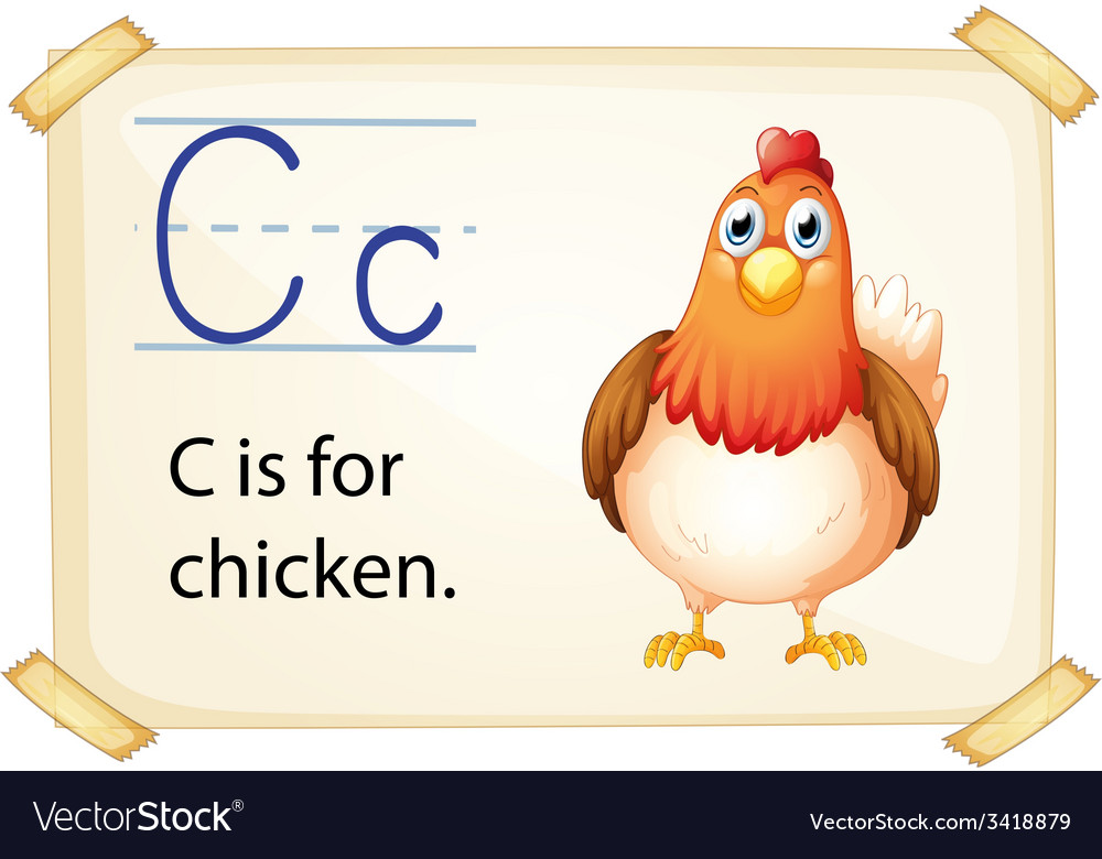 A letter c for chicken Royalty Free Vector Image