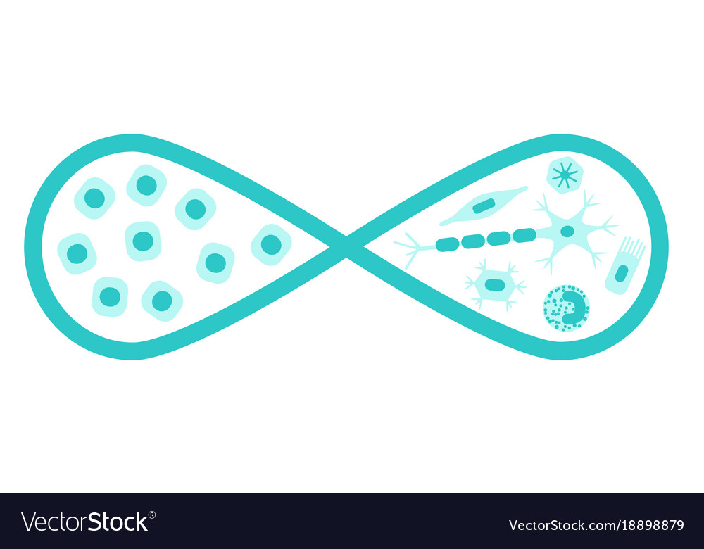 Regenerative medicine concept