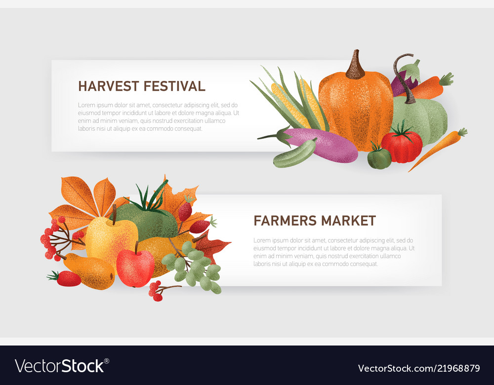 Set horizontal web banner templates with place Vector Image