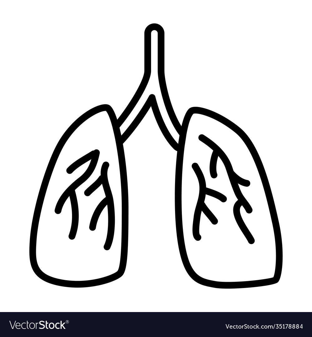 Human lungs icon with modern flat line icon style Vector Image