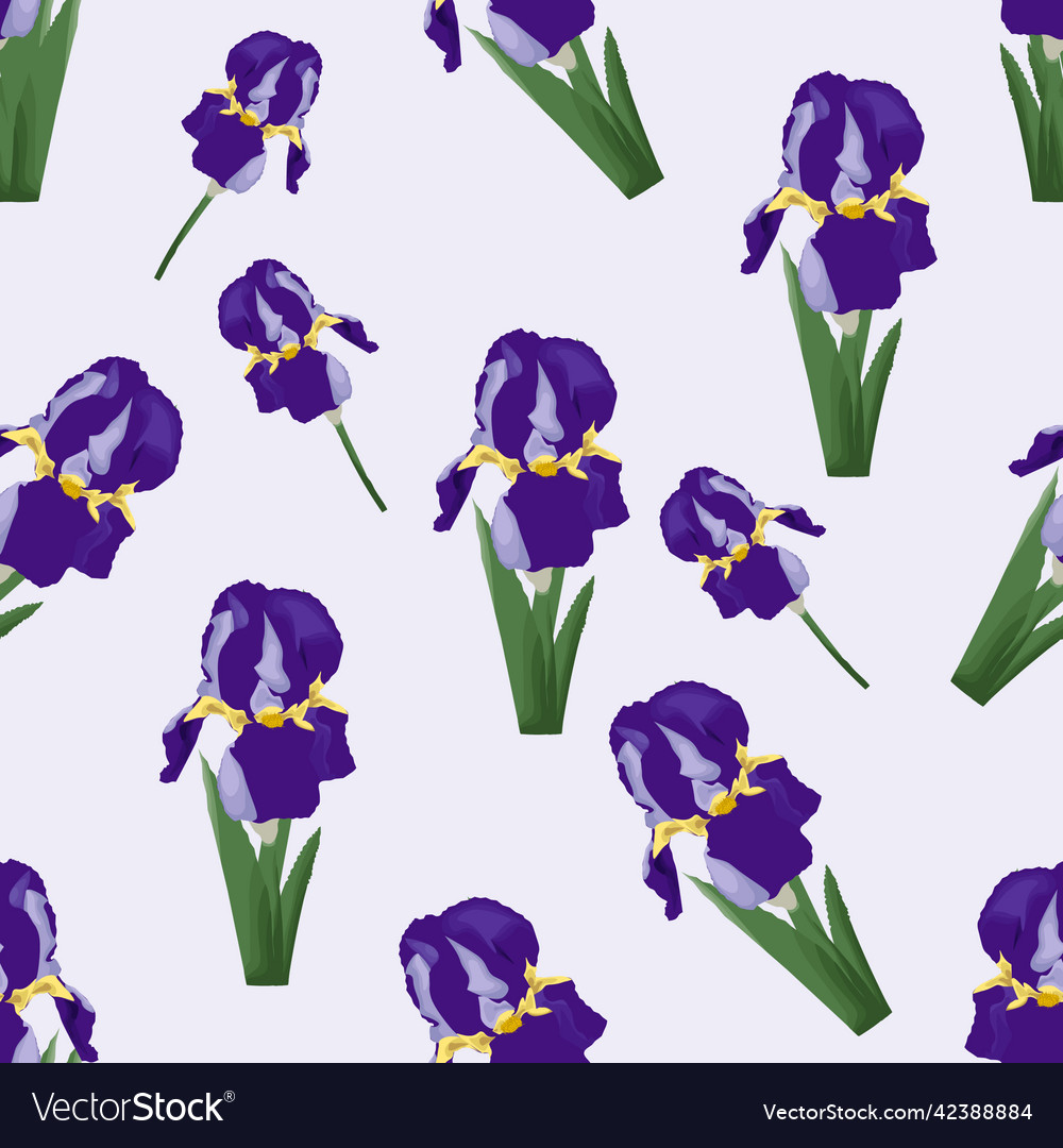 Iris pattern