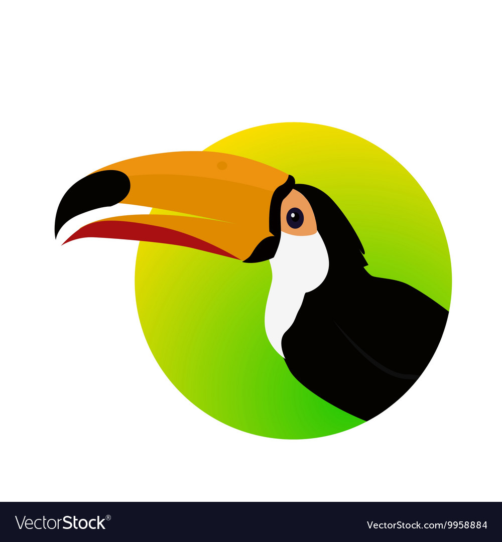 Toucan Bird Flat Design Royalty Free Vector Image