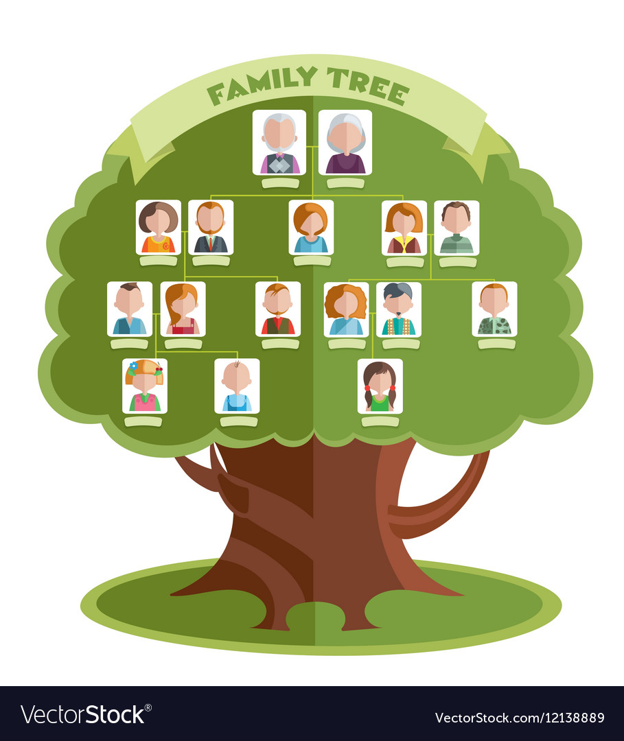 Family tree template Royalty Free Vector Image