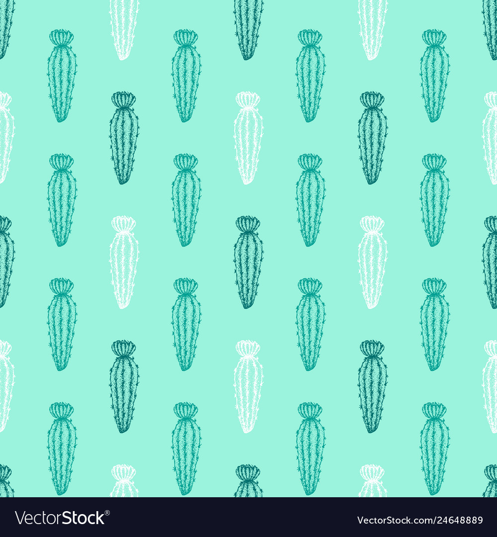Mint flower cactus seamless pattern vector image Mint flower cactus seamless pattern