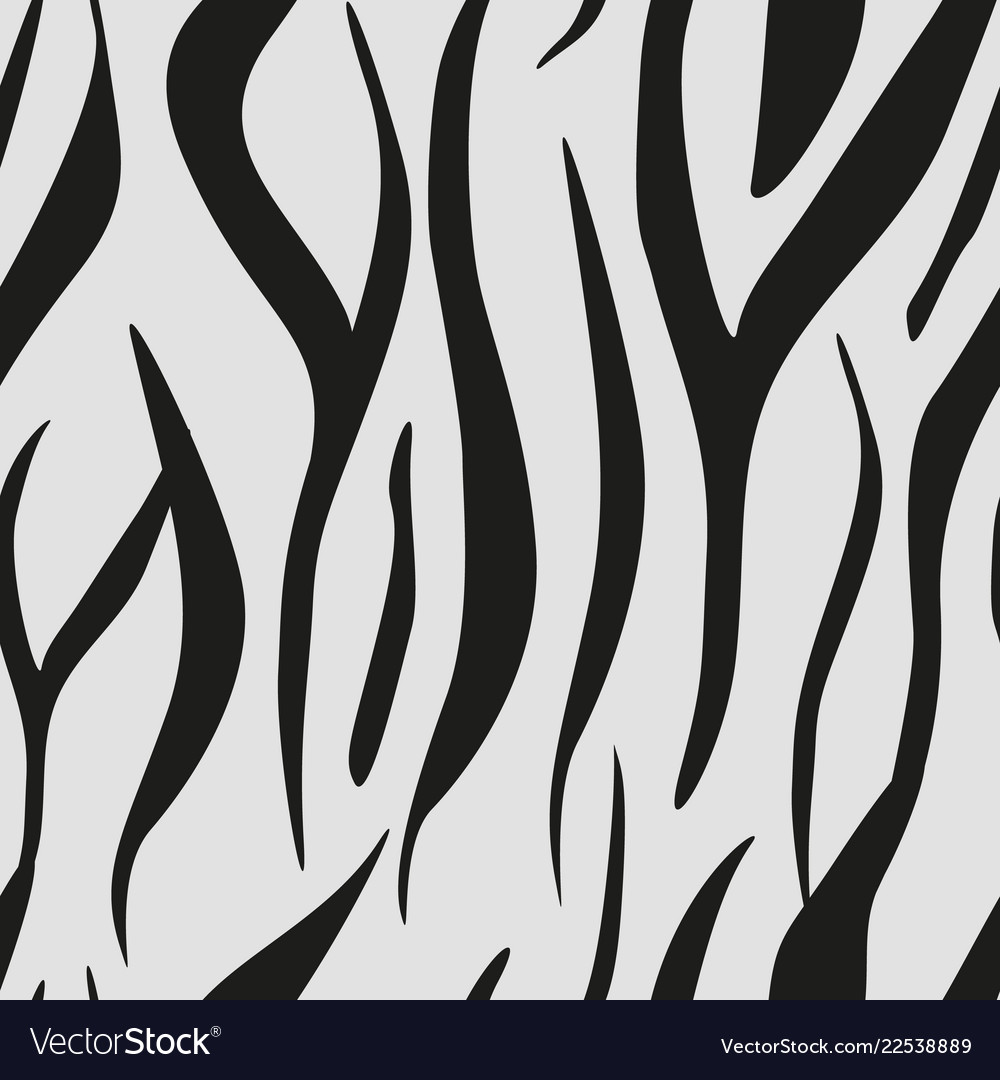 Zebra stripes seamless pattern print vector image Zebra stripes seamless pattern print