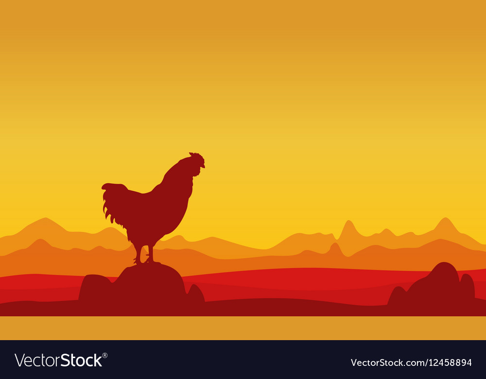 At sunset rooster landscape of silhouettes Vector Image