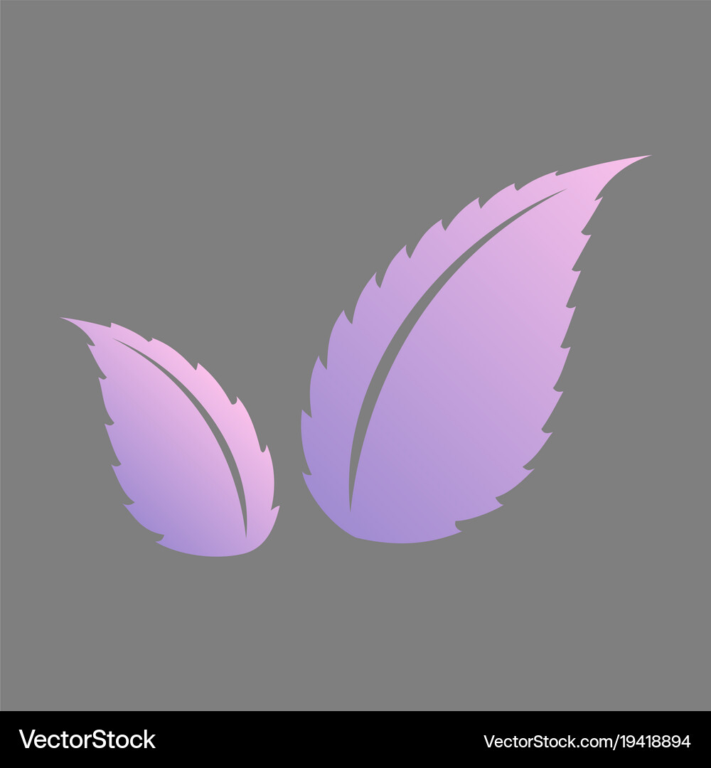 Flat leaves logo template Royalty Free Vector Image