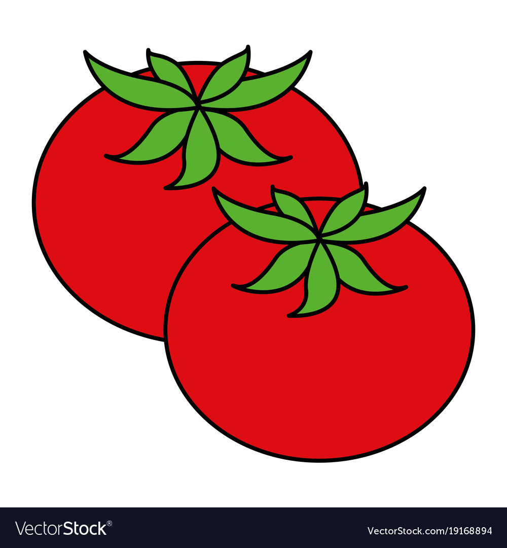 Fresh tomatoes isolated icon Royalty Free Vector Image