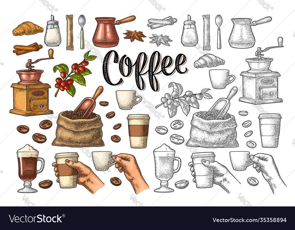 Set coffee sugar beans spoon glass latte Vector Image