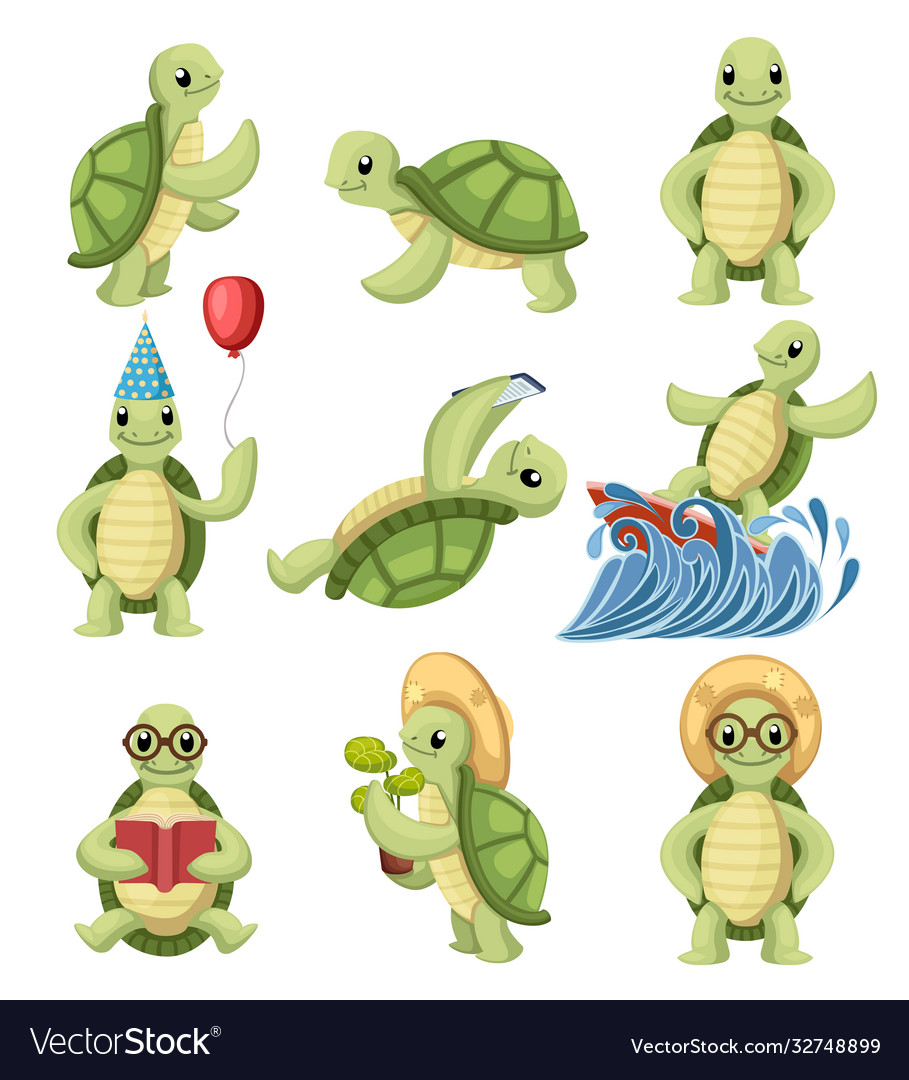 Collection turtles cartoons characters little Vector Image