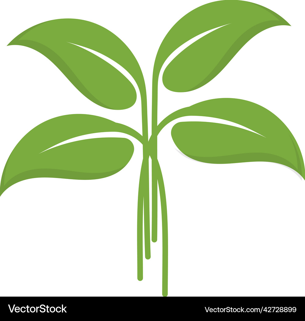 Leaf icon design template Royalty Free Vector Image