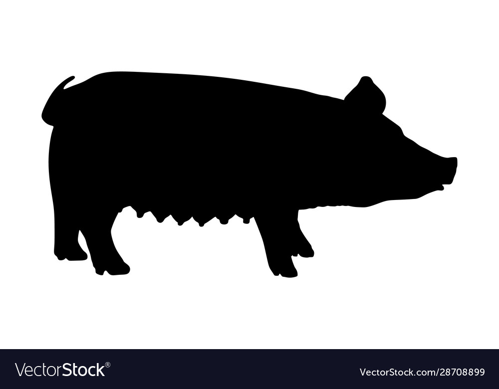 Pig silhouette isolated on white background