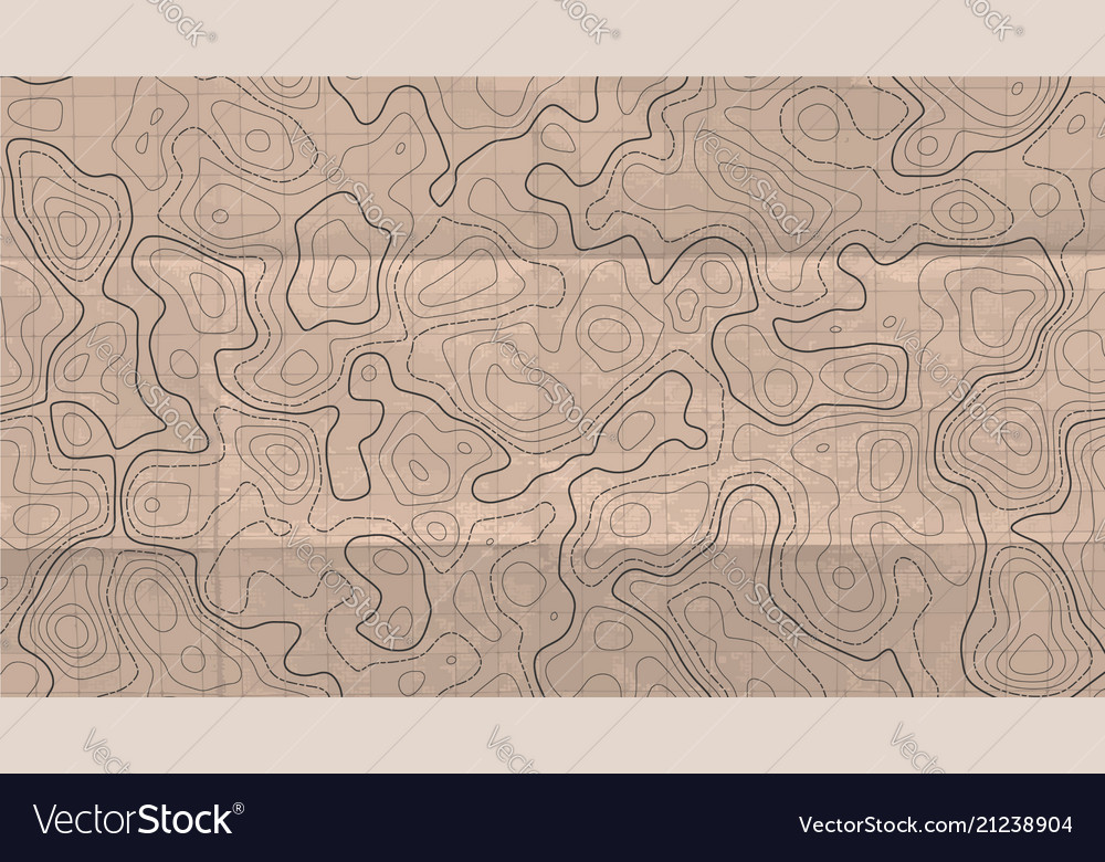 Abstract Topographic Line Map