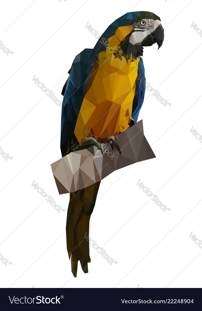 Low Poly Macaw Parrot