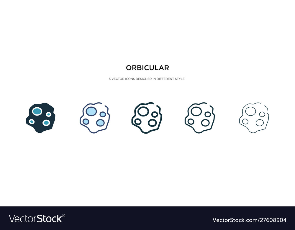 Orbicular icon in different style two colored