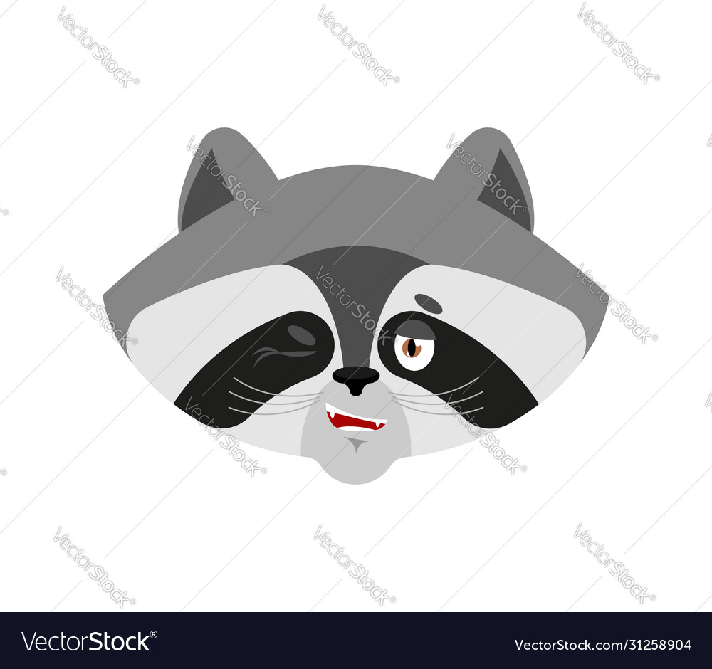 Raccoon winks racoon happy emoji coon