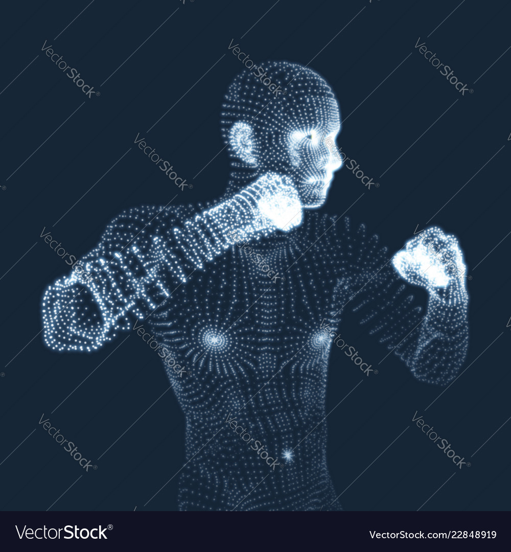 Boxer fighting man 3d model man human body Vector Image