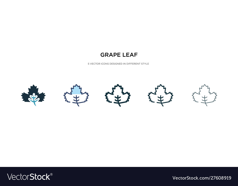 Grape leaf icon in different style two colored