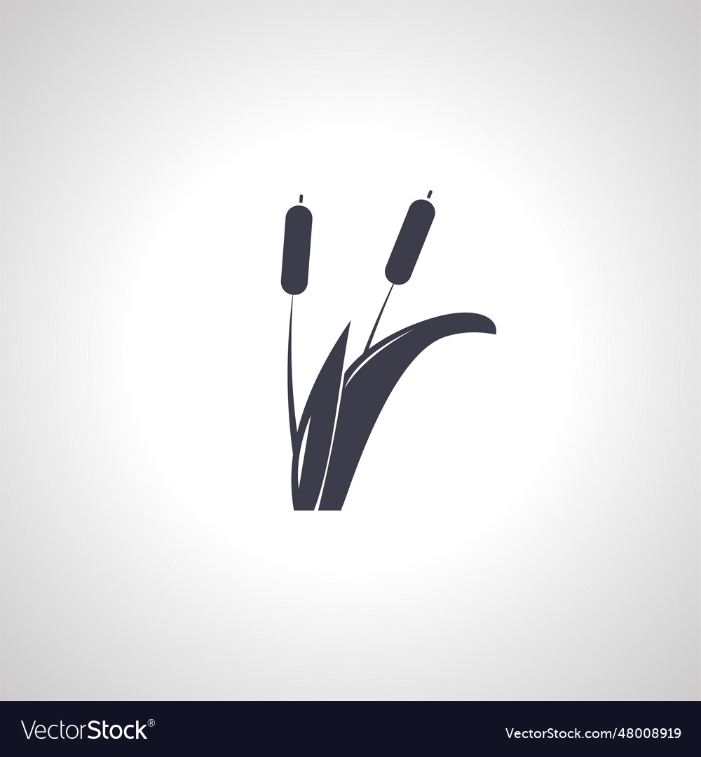 Reeds plant icon reed isolated