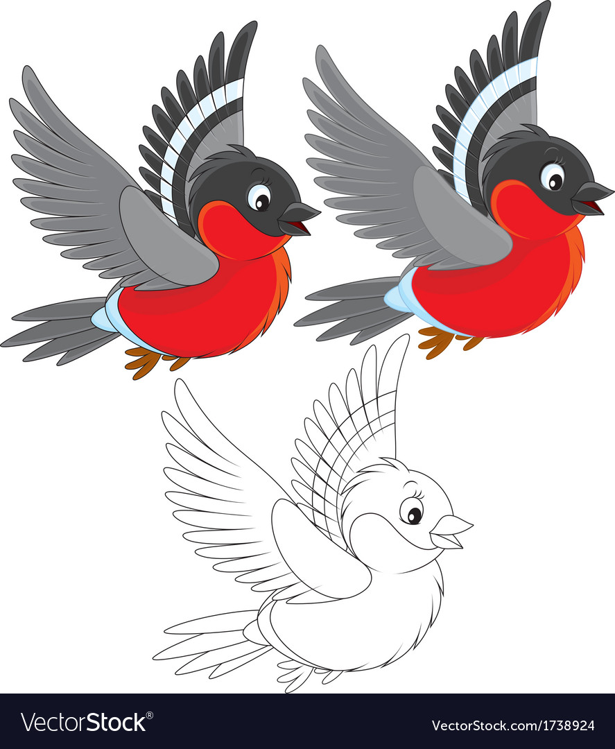 Bullfinch Royalty Free Vector Image - VectorStock